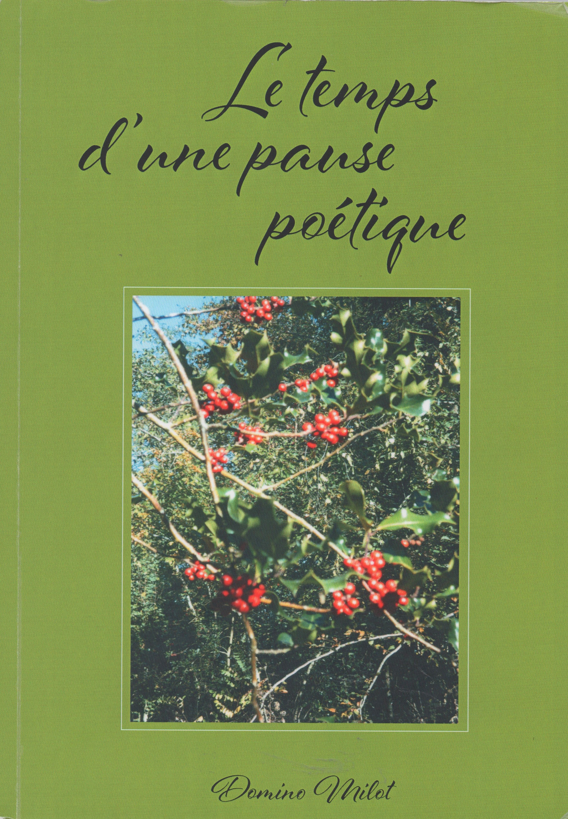 Couverture du Livre